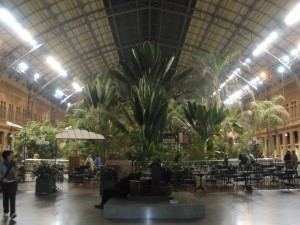 Internships in Madrid - Adelante Abroad