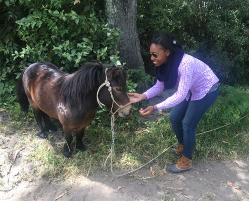 Nadja - Equestian Internship - Equine Veterinary Intern - Adelante Abroad