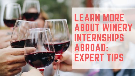 Learn more about winery internships abroad in South America