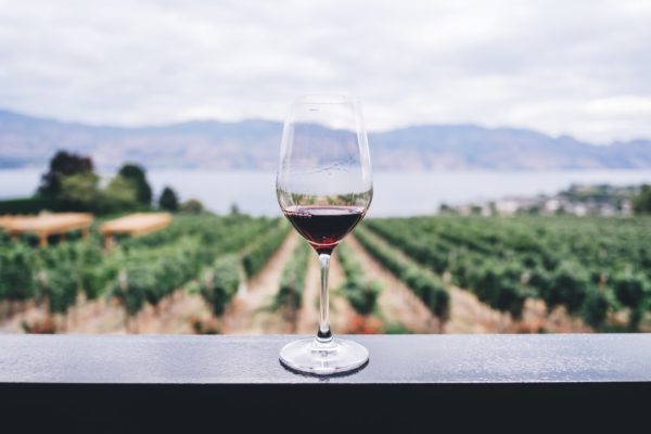 Learn about winery internships abroad in South America