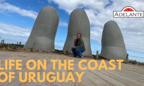 Life on the coast of Uruguay