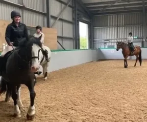 Equine Sciences student in Scotland