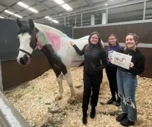 Equine study abroad students learning equine anatomy