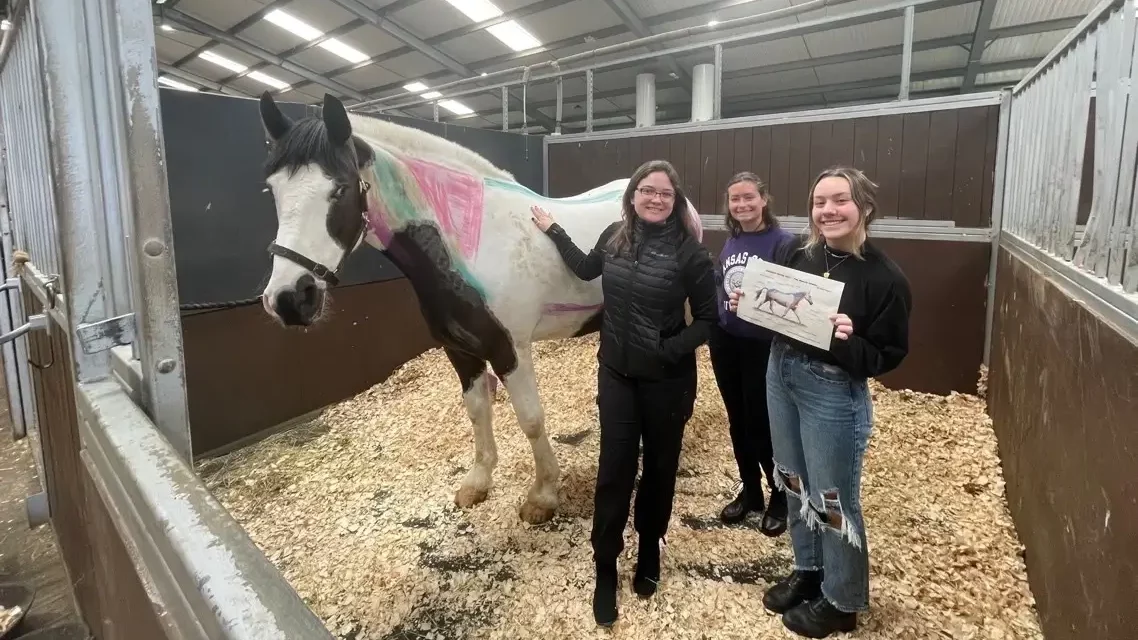 Equine study abroad students learning equine anatomy