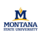 montana state university