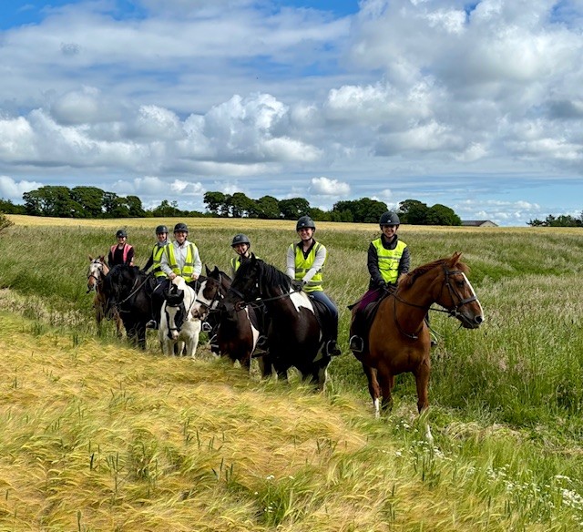 Equine Summer Study Abroad Students
