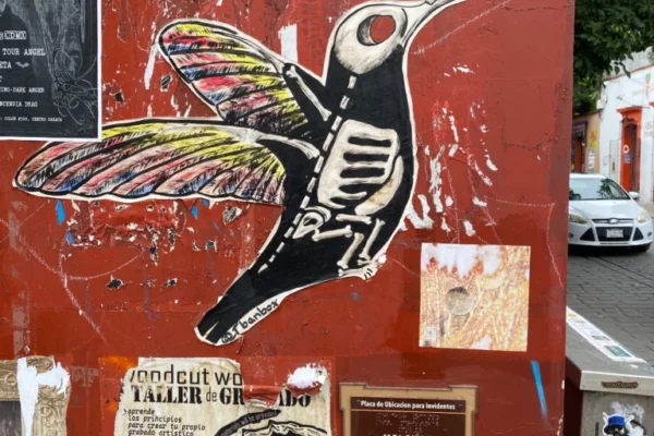 3-streetart-768x1024 Street art in Oaxaca of a hummingbird