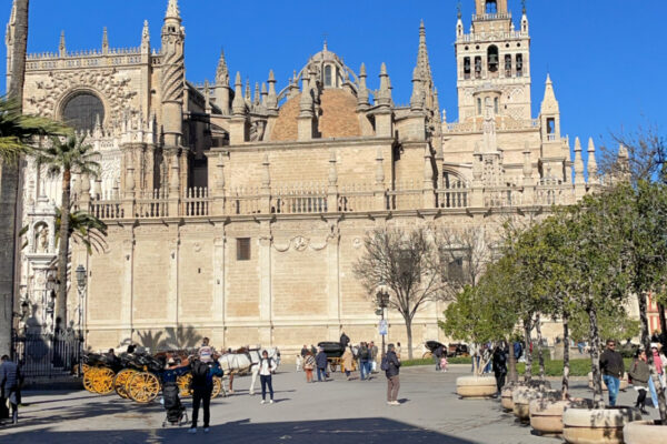 intern in seville spain