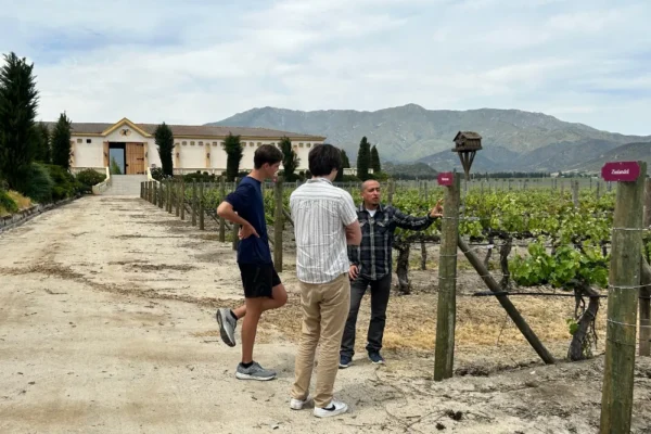 winery internships abroad in chile winery internships abroad in chile