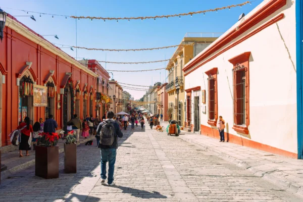 Internships in Oaxaca Mexico