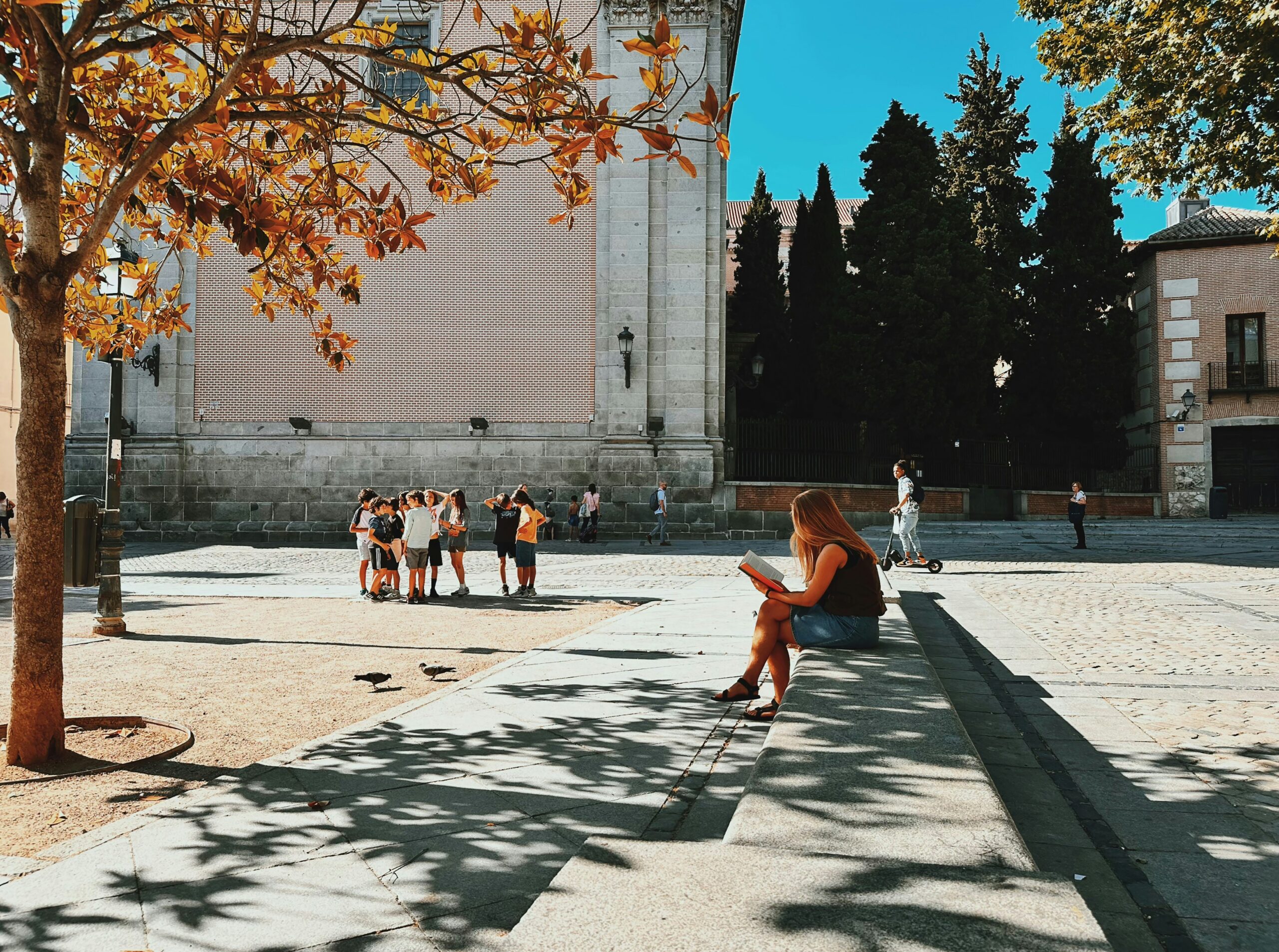 Real Life Abroad Internship